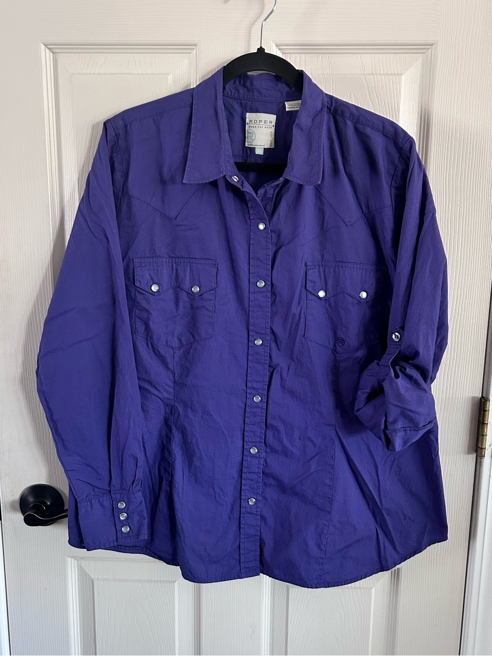 Roper Purple Long Sleeve Western Pearl Snap Button-Down Shirt Plus Size 1X